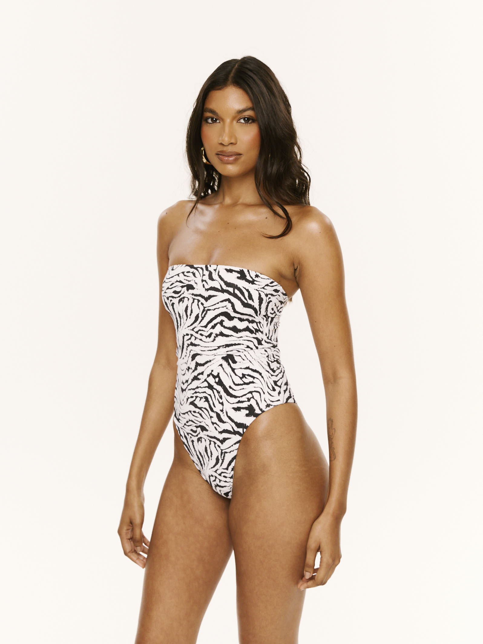 MAIO_AMY_ZEBRA_2